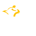 Calgary Motorcycle Training